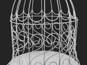 White Birds Cage